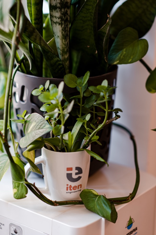 An ITEN Engineering mug used as a plant pot