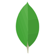 MongoDB